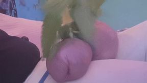 Cuming with help with nettles