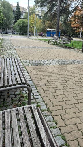 Bulgarian fat cock gets hard on a public park bench