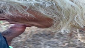 mes aventures au portugal