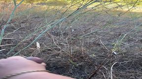 mes aventures au portugal