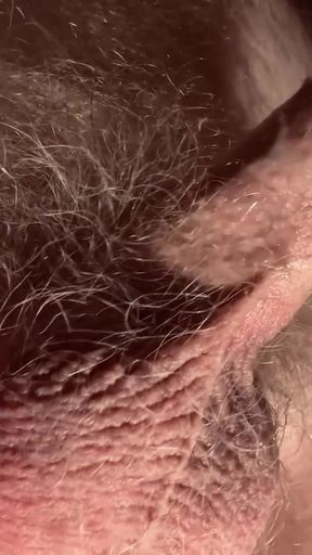 Barespanks' Feeling The Need To Breed   Clip 1