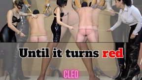 Cleo Domina - Until it turns red