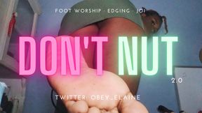Don't Nut 2.0