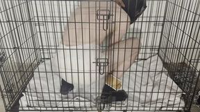 Diaper Hooded and Locked in the Cage until Messy