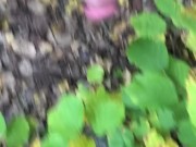 Cumshot Compilation as Horny Daddy Cums three times today while camping solo