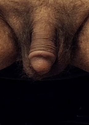 Cock awakens. Dick fills to be ready. The flaccid penis grows with thoughts of sexual desires.