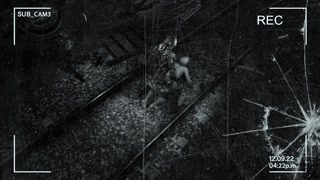 Infected Sherry Birkin (SOUND, 60FPS, 4K)