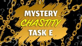 2025 Mystery Chastity Task E