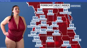 This Week's Forecast