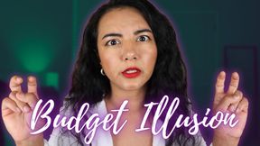 Budget Illusion