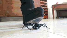 Dance of Power Under Boots MP4 (1920x1080) FHD