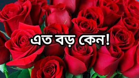 Bangla choto golpo beautiful mature saree chachi cheating hasband full story in Bangla audio