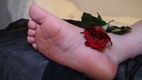 A Gift You Didn’t Earn #11