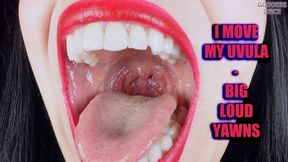 I MOVE MY UVULA - BIG LOUD YAWNS (Video request)