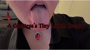 A Giantess's Tiny Lunch Break