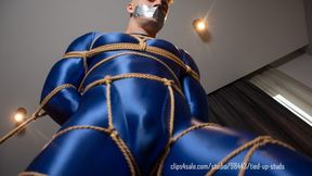 Aaron: Bound in Blue