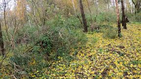 Come on Over There and Take off Your Clothes