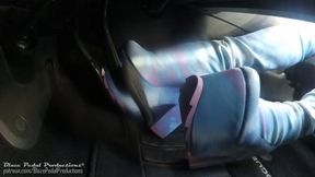 1003-The Asian's Cotton Candy Crave II