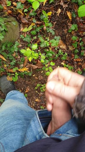 Wixxing in the forest