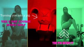 Learn How to Be a Pig the 5 Day Course Sniff Oink JOI All Pics Are Me