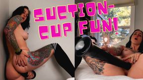 Suction Cup Fun