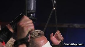 Hard Leather Domination By Dale Savage