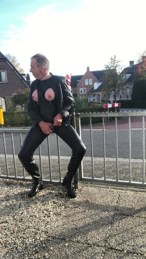 Horny Sitting on a Fence Along the Road