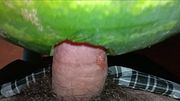 I Fucked My Milf Neighbors Watermelon Part 2