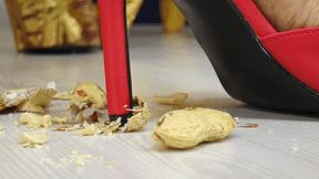 Princess Cindy - That's what your nuts are for! - small version