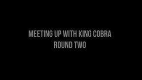 Round Two with King Cobra