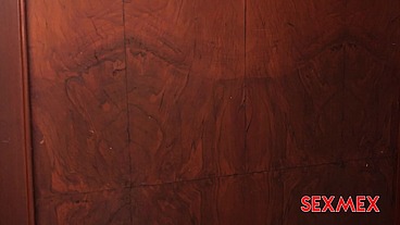 SEXMEX - MY FRIEND'S STEPMOM . SANDRA PAOLA