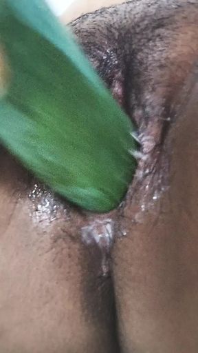 Big Cucumber in Mallu girl&#039;s hairy pussy