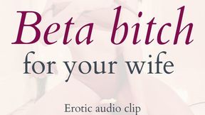 Beta Bitch for Your Wife