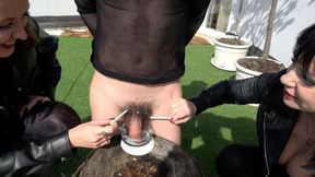 MISTRESS LILY DUPONT : I USE HIS COCK AS AN ASHTRAY