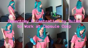 Penectomy & Castration by Bulma to Work at Capsule Corp