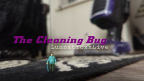 The Cleaning Bug