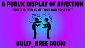 Public Display of Affection Audio