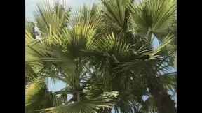 Blair Segal: Car Wash and Fuck Under the Sun