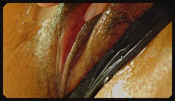 Ren and her female friend get carried away with a strap on