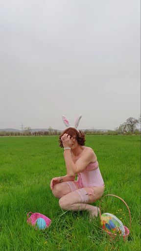 bunny alone with her balls in the green field