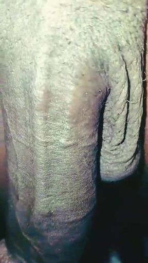 Blackdick