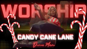 WELCOME TO CANDYCANE LANE