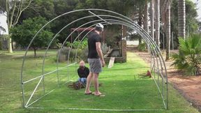 Tom Keeps Harold Inside the Giant Enclosure