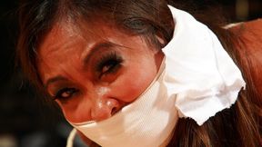KGAG Nosy Reporter Veronica gets RE-Tied and Left Tightly Hogtied & Massively Gagged Squirming In Her Pantyhose! RE EDIT 2025 *NEW PREVIEW*