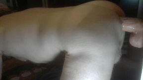 Big Dildo Fucking My Wet Hole Deep