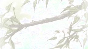 ”Hentai Cartoon Dubbed In English Romantic”