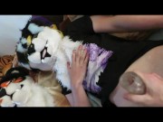Cheetah gets pawwed