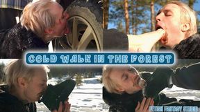 cold walk in the forest (FULL HD MP4)