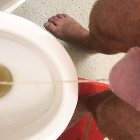 Pissing in the Toilet - POV cock