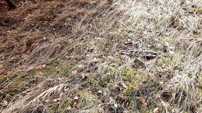 She Makes Her Boobs Available for Pounding